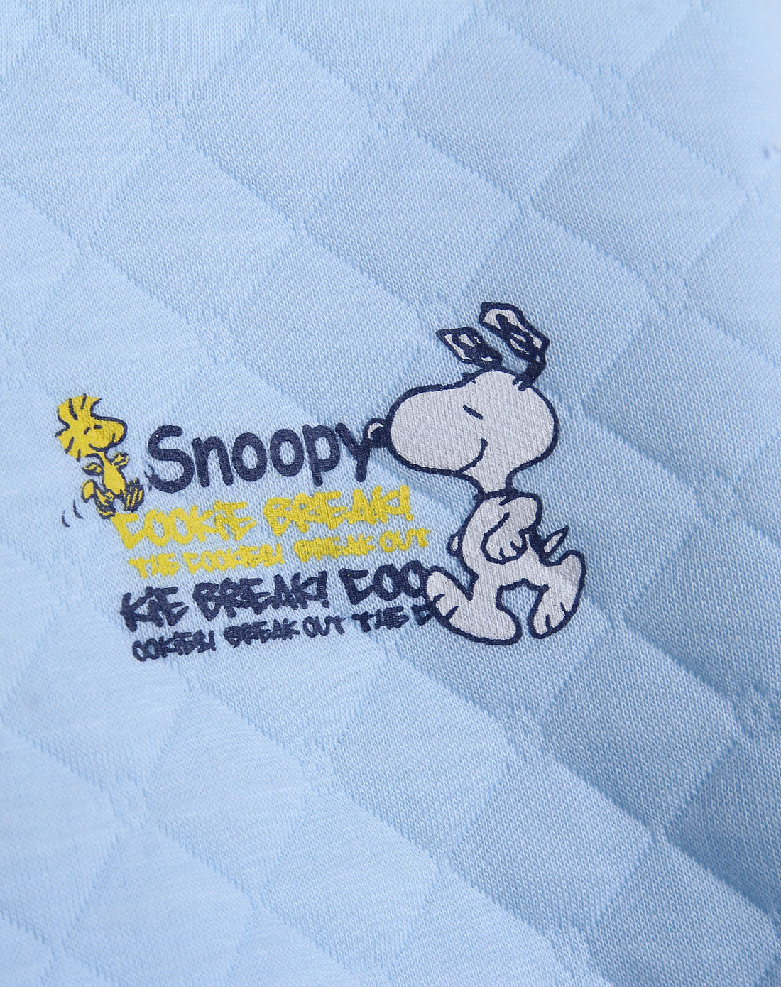 史努比snoopy童装内衣专场-男童粉蓝色休闲暖棉圆领长袖套装