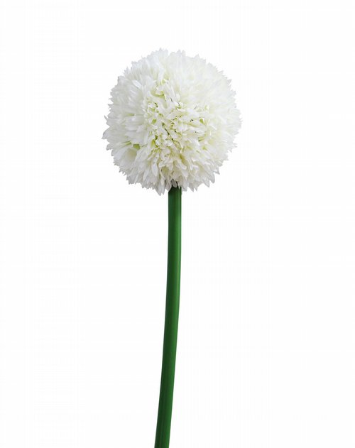 gapon&homix混合家居专场小单支葱球仿真花-白色