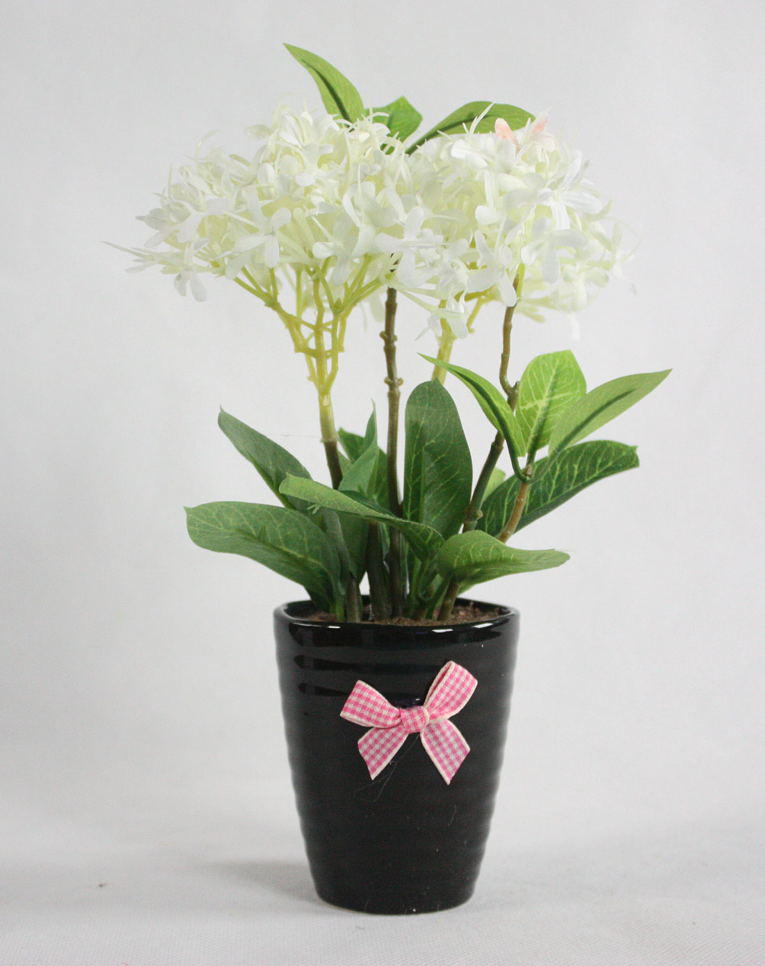 波浪纹盆夕雾花(白色)